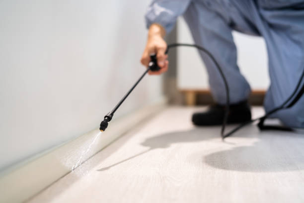Bed Bug Pre-Treatment Preparation Assessment in Daniels Farm