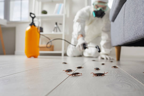 Post-Treatment Bed Bug Interceptor Monitoring in Daniels Farm